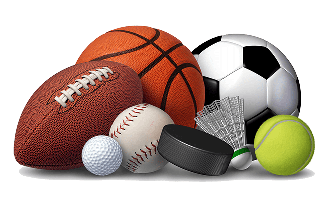 Free Sport Items Renting Scheduling Software